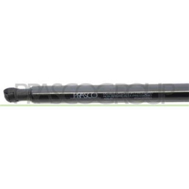 PG4209055_3.JPG Molla A Gas Destra O Sinistra Portellone Posteriore Per Peugeot 307 Dal 2001 Al 2005