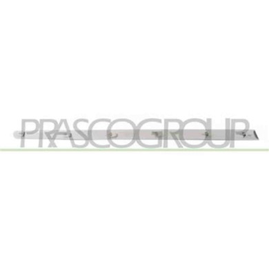 PG4221423_1.JPG Modanatura Porta Anteriore Destra Per Peugeot 307 Dal 2005 Al 2009