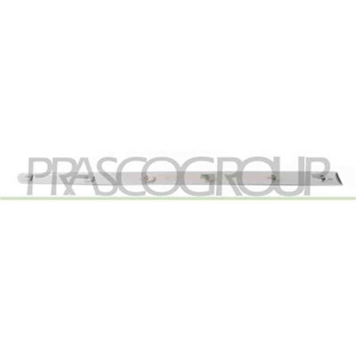 PG4221423_1.JPG Modanatura Porta Anteriore Destra Per Peugeot 307 Dal 2005 Al 2009