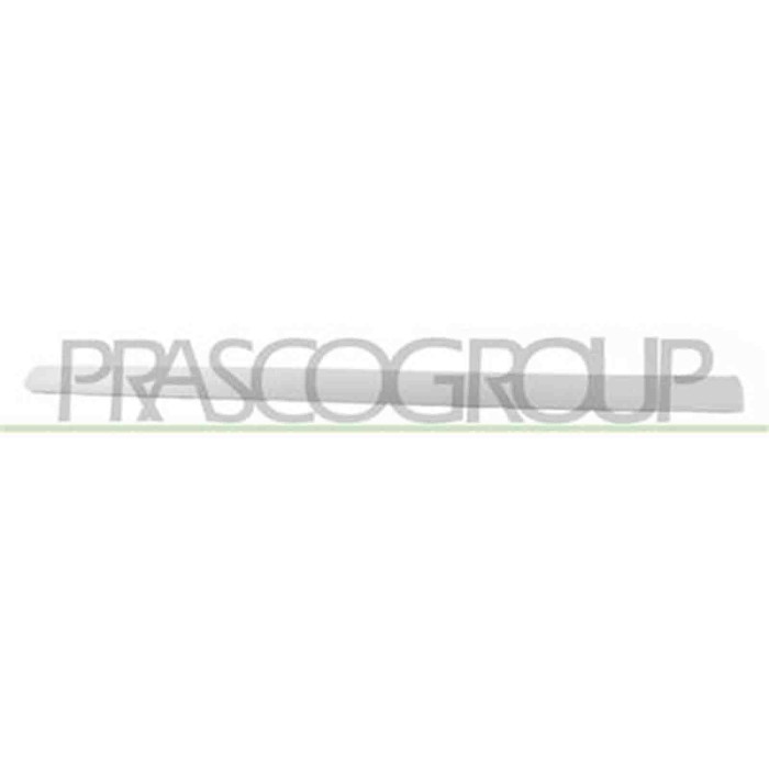 PG4221423_2.JPG Modanatura Porta Anteriore Destra Per Peugeot 307 Dal 2005 Al 2009