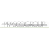 Modanatura Porta Anteriore Destra Per Peugeot 307 Dal 2005 Al 2009