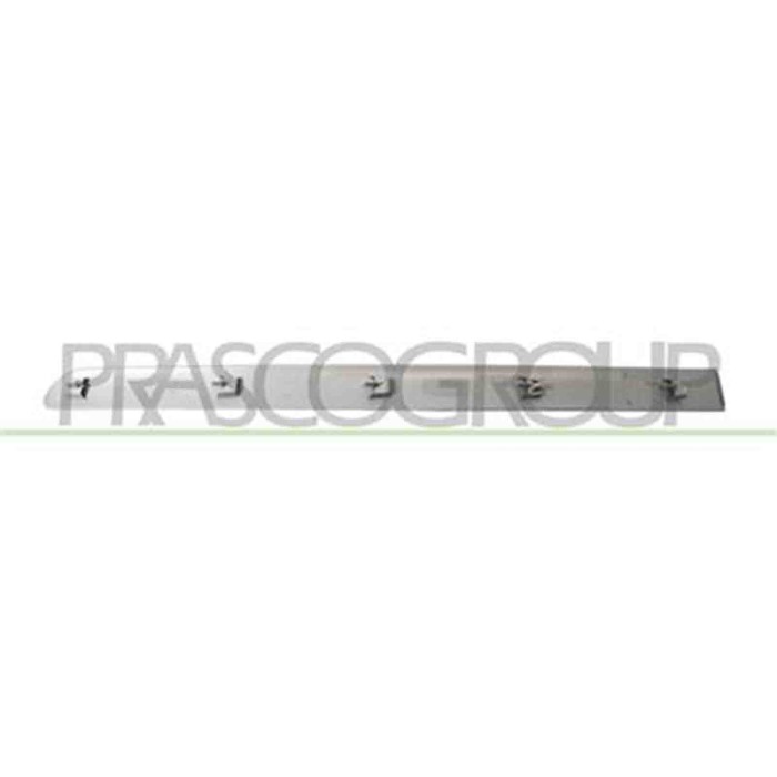 PG4221463_1.JPG Modanatura Porta Posteriore Destra Per Peugeot 307 Dal 2005 Al 2009