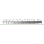PG4221463_2.JPG Modanatura Porta Posteriore Destra Per Peugeot 307 Dal 2005 Al 2009