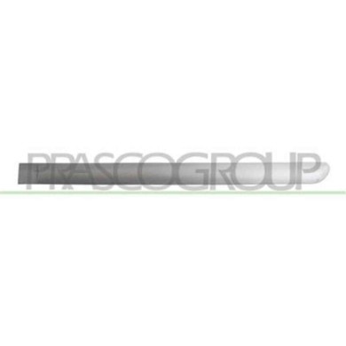 PG4221464_2.JPG Modanatura Porta Posteriore Sinistra Per Peugeot 307 Dal 2005 Al 2009