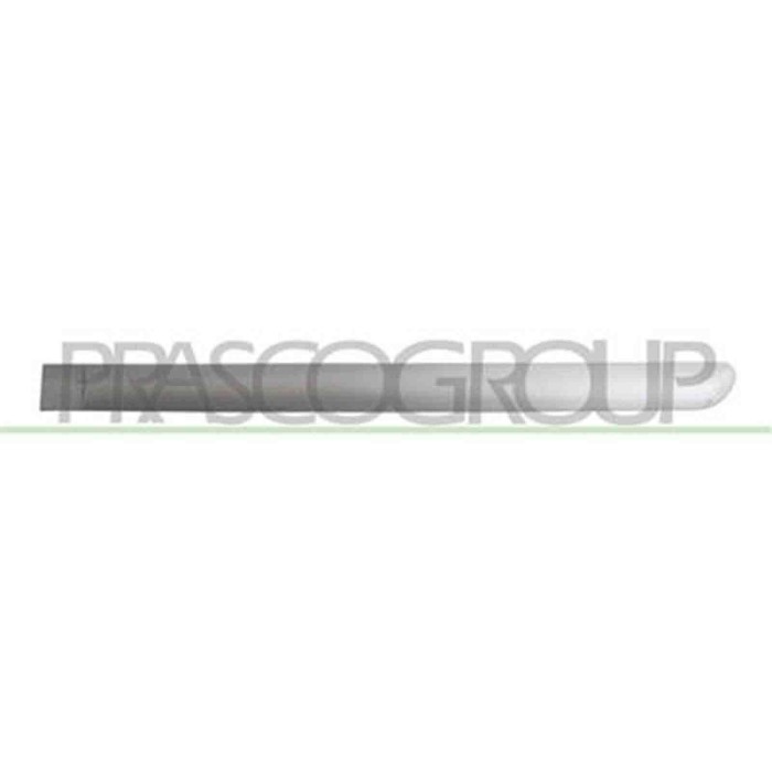 PG4221464_2.JPG Modanatura Porta Posteriore Sinistra Per Peugeot 307 Dal 2005 Al 2009