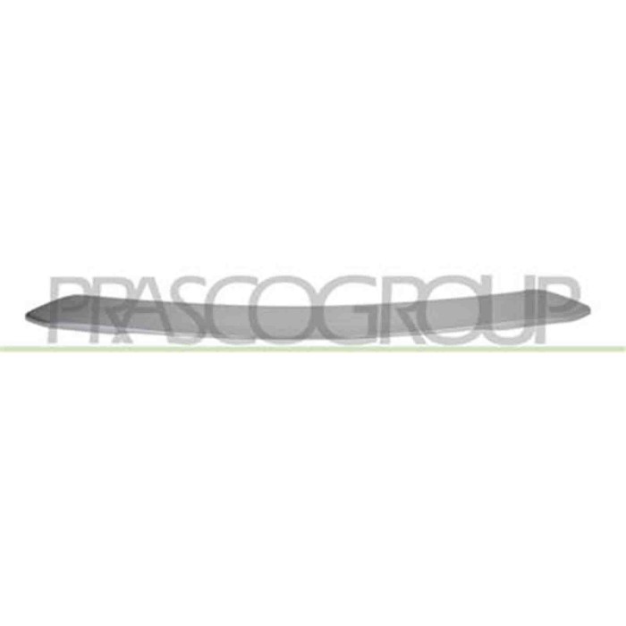 PG5041255_2.JPG Modanatura Centrale Argento Per Peugeot 2008 Dal 2019 Al 2023