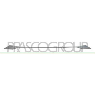 PG5252206_2.JPG Modanatura Centrale Inferiore Argento Per Peugeot 3008 Dal 2020