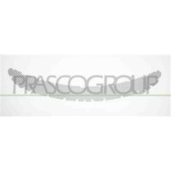 Griglia Presa Aria Cofano Per Porsche Cayman - Boxster (982 - 718) Dal 2016 Al 2019