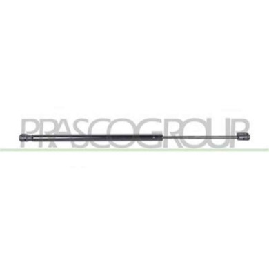 RN0349055_1.JPG Molla A Gas Destra O Sinistra Portellone Posteriore Per Renault Scenic Dal 2003 Al 2006