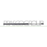 RN0349055_1.JPG Molla A Gas Destra O Sinistra Portellone Posteriore Per Renault Scenic Dal 2003 Al 2006