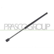 Molla A Gas Destra O Sinistra Portellone Posteriore Per Renault Scenic Dal 2003 Al 2006