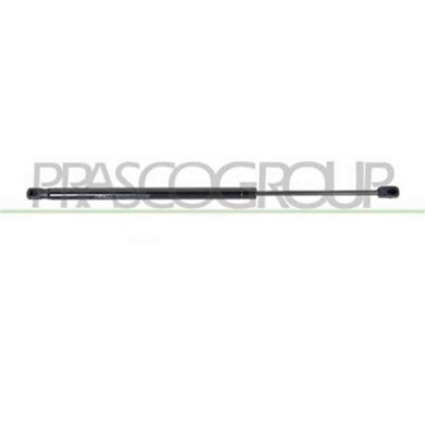 RN0349055_3.JPG Molla A Gas Destra O Sinistra Portellone Posteriore Per Renault Scenic Dal 2003 Al 2006