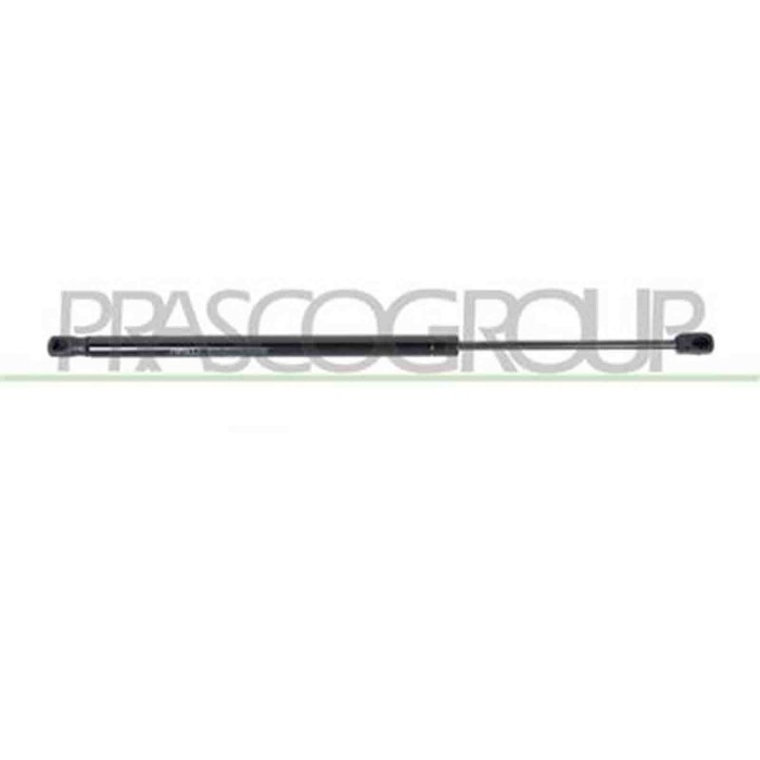 RN0349055_3.JPG Molla A Gas Destra O Sinistra Portellone Posteriore Per Renault Scenic Dal 2003 Al 2006