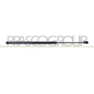 RN0349055_3.JPG Molla A Gas Destra O Sinistra Portellone Posteriore Per Renault Scenic Dal 2003 Al 2006