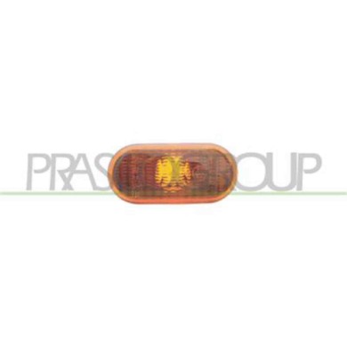 GUIDA_ALLA_SCELTA.JPG Fanale Laterale Destro O Sinistro Arancio Senza Porta Lampada Per Renault Clio Dal 2001 Al 2005