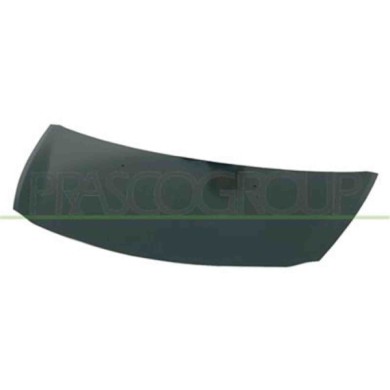 RN3253100_1.JPG Cofano Per Renault Clio Dal 2005 Al 2009