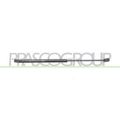 RN3259065_1.JPG Molla A Gas Destra O Sinistra Portellone Posteriore Per Renault Clio Dal 2005 Al 2009