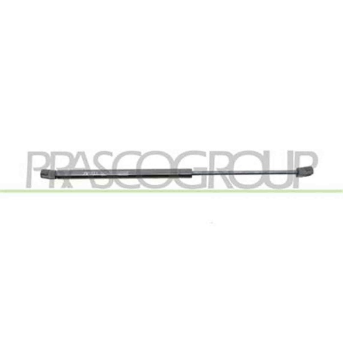 RN3259065_1.JPG Molla A Gas Destra O Sinistra Portellone Posteriore Per Renault Clio Dal 2005 Al 2009