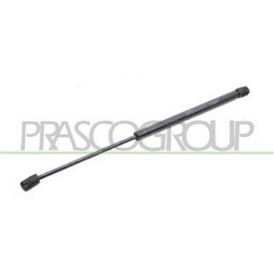 RN3259065_2.JPG Molla A Gas Destra O Sinistra Portellone Posteriore Per Renault Clio Dal 2005 Al 2009
