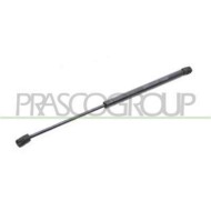 RN3259065_2.JPG Molla A Gas Destra O Sinistra Portellone Posteriore Per Renault Clio Dal 2005 Al 2009