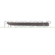 Modanatura Porta Posteriore Destra Per Renault Megane Dal 2002 Al 2005