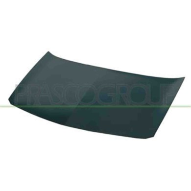 RN4203100_1.JPG Cofano Per Renault Megane Dal 2002 Al 2005