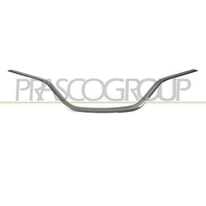 RN6522305_1.JPG Modanatura Griglia Inferiore Cromata Per Renault Scenic Dal 2016