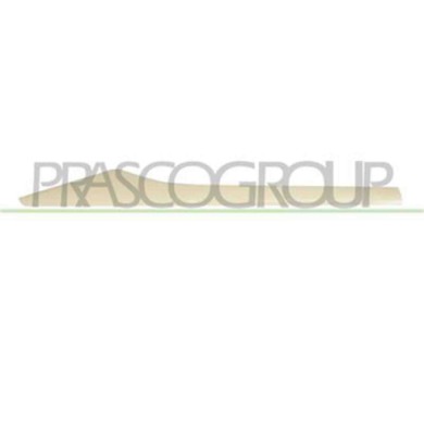 RN7001463_2.JPG Profilo Porta Posteriore Destra In Abs Per Renault Captur Dal 2013 Al 2017