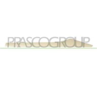 RN7001464_2.JPG Profilo Porta Posteriore Sinistra Abs Per Renault Captur Dal 2013 Al 2017
