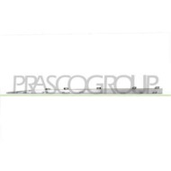 RN7041423_1.JPG Profilo Cromato Porta Anteriore Destra Per Renault Captur Dal 2019