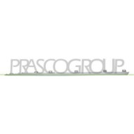 RN7041424_2.JPG Profilo Cromato Porta Anteriore Sinistra Per Renault Captur Dal 2019