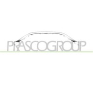 RN7042305_1.JPG Modanatura Inferiore Cromata Griglia Radiatore Per Renault Captur Dal 2019