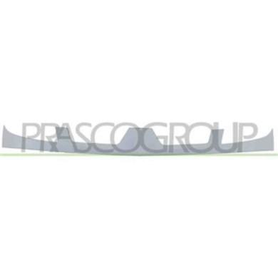 RN9172001_1.JPG Griglia Radiatore Esterna Per Renault Kangoo Dal 2003 Al 2007