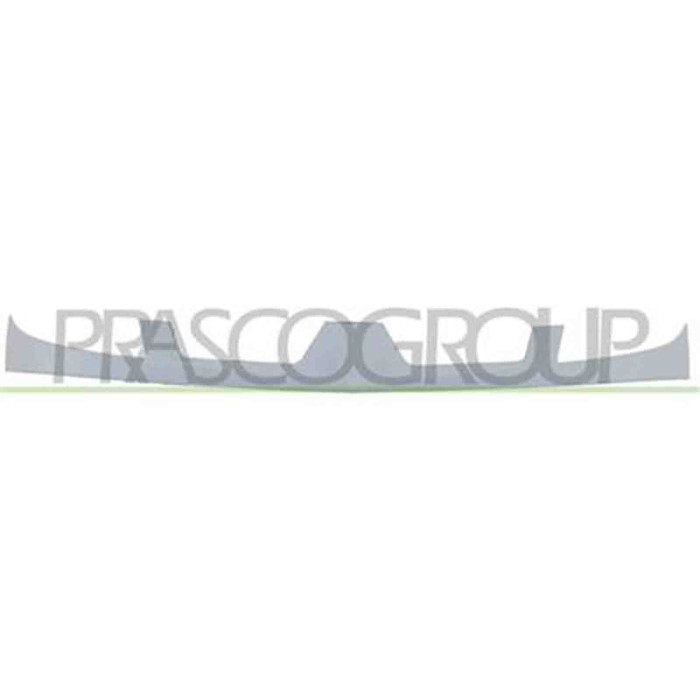 RN9172001_1.JPG Griglia Radiatore Esterna Per Renault Kangoo Dal 2003 Al 2007