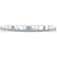 RN9172001_1.JPG Griglia Radiatore Esterna Per Renault Kangoo Dal 2003 Al 2007