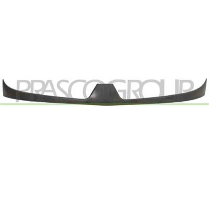 RN9172021_1.JPG Griglia Radiatore Esterna Per Renault Kangoo Dal 2003 Al 2007