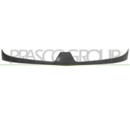Griglia Radiatore Esterna Per Renault Kangoo Dal 2003 Al 2007
