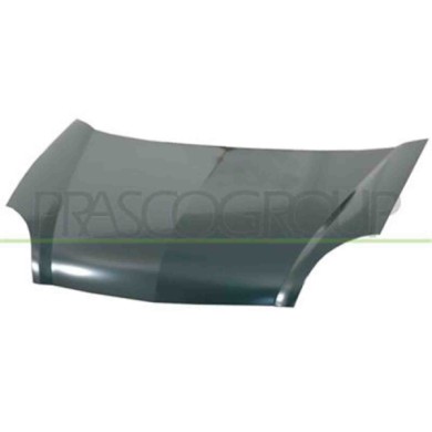 RN9173100_1.JPG Cofano Per Nissan Kubistar Dal 2003 Al 2007