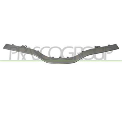 RN9212205_1.JPG Modanatura Superiore Argento Per Renault Kangoo Dal 2013 Al 2021