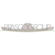 RN9522001_1.JPG Griglia Radiatore Esterna In Abs Per Renault Master Dal 2004 Al 2009