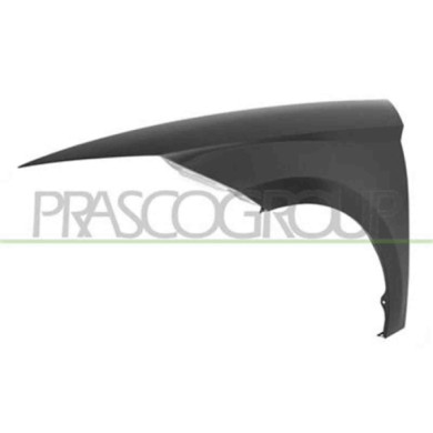 GUIDA_ALLA_SCELTA.JPG Parafango Anteriore Sinistro Per Seat Ibiza Dal 2017 Al 2021