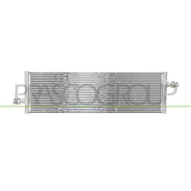 TS300R001_2.JPG Radiatore Per Tesla Model 3 Dal 2016 Al 2023