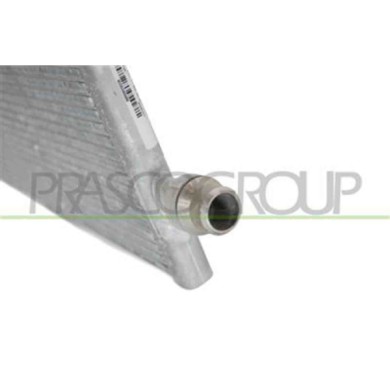 TS300R001_3.JPG Radiatore Per Tesla Model 3 Dal 2016 Al 2023