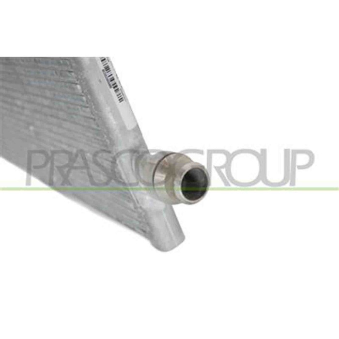 TS300R001_3.JPG Radiatore Per Tesla Model 3 Dal 2016 Al 2023