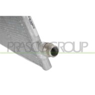 TS300R001_3.JPG Radiatore Per Tesla Model 3 Dal 2016 Al 2023