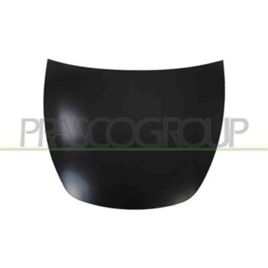TS6003100_1.JPG Cofano Per Tesla Model Y Dal 2019