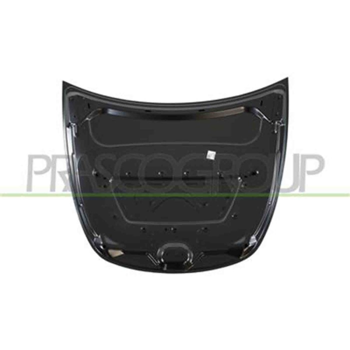 TS6003100_3.JPG Cofano Per Tesla Model Y Dal 2019