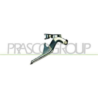 GUIDA_ALLA_SCELTA.JPG Cerniera Cofano Sinistra Per Toyota Corolla E11 Dal 1997 Al 2000
