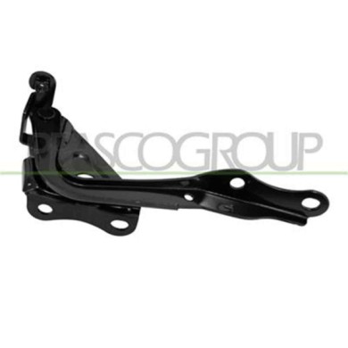 GUIDA_ALLA_SCELTA.JPG Cerniera Cofano Sinistra Per Toyota Rav 4 Dal 2006 Al 2009