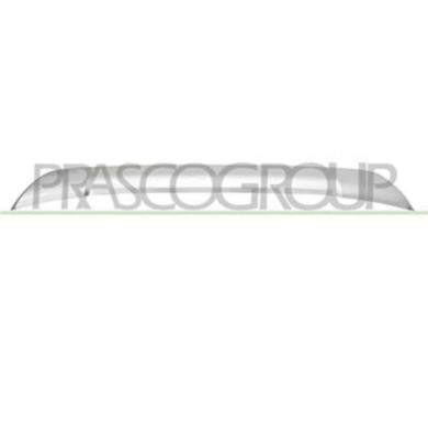 TY2921245_1.JPG Modanatura Inferiore Grigio/argento Per Toyota Rav 4 Dal 2015 Al 2019